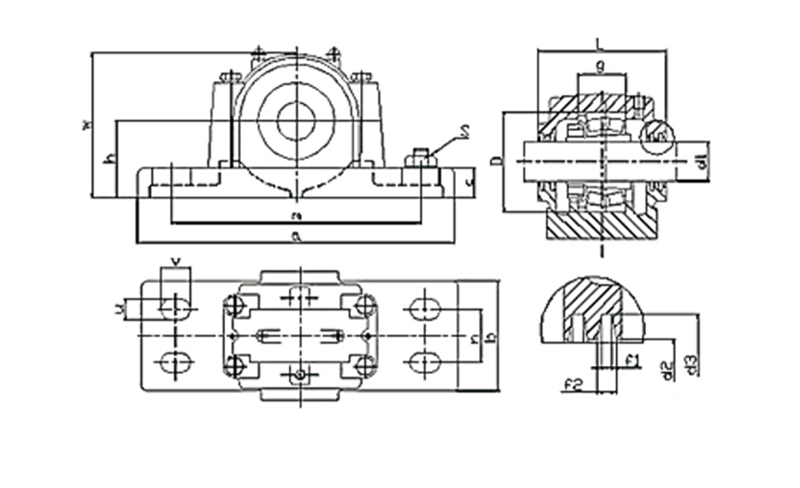 2 SD3000 plummer block bearing (1)