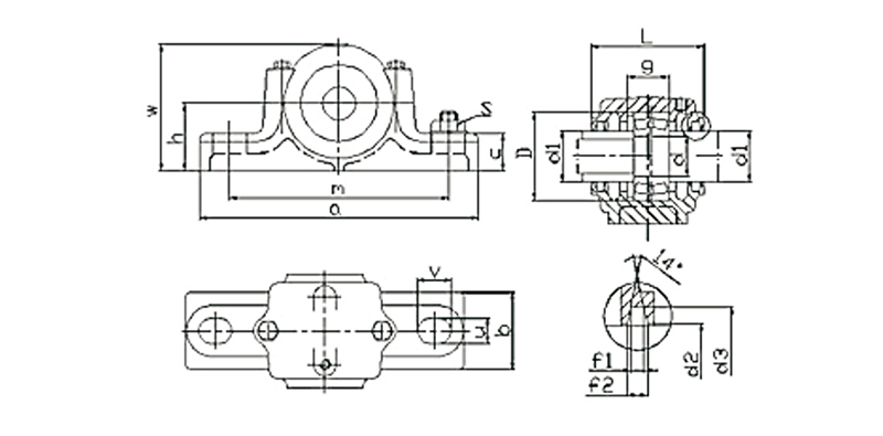 4 SN200-300 plummer block bearing (1)