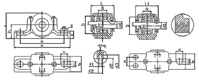 5 SN500-600 plummer block bearing (1)