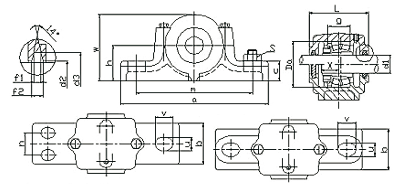 6 SN3000-3100 plummer block bearing (1)