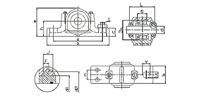 8 SNU500 plummer block bearing (1)