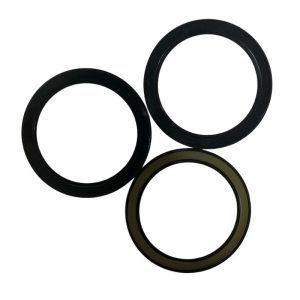 Bearing Seals 01