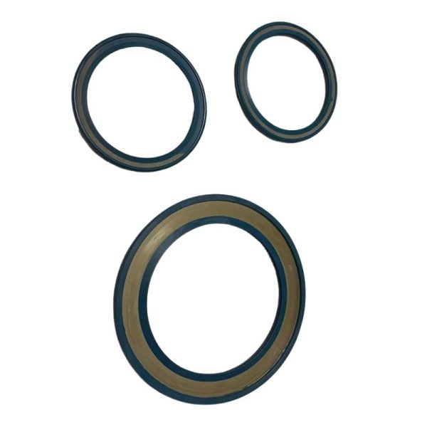 Bearing Seals 05