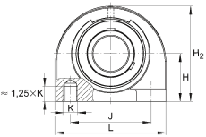 UCPA pilow block bearing 1 1